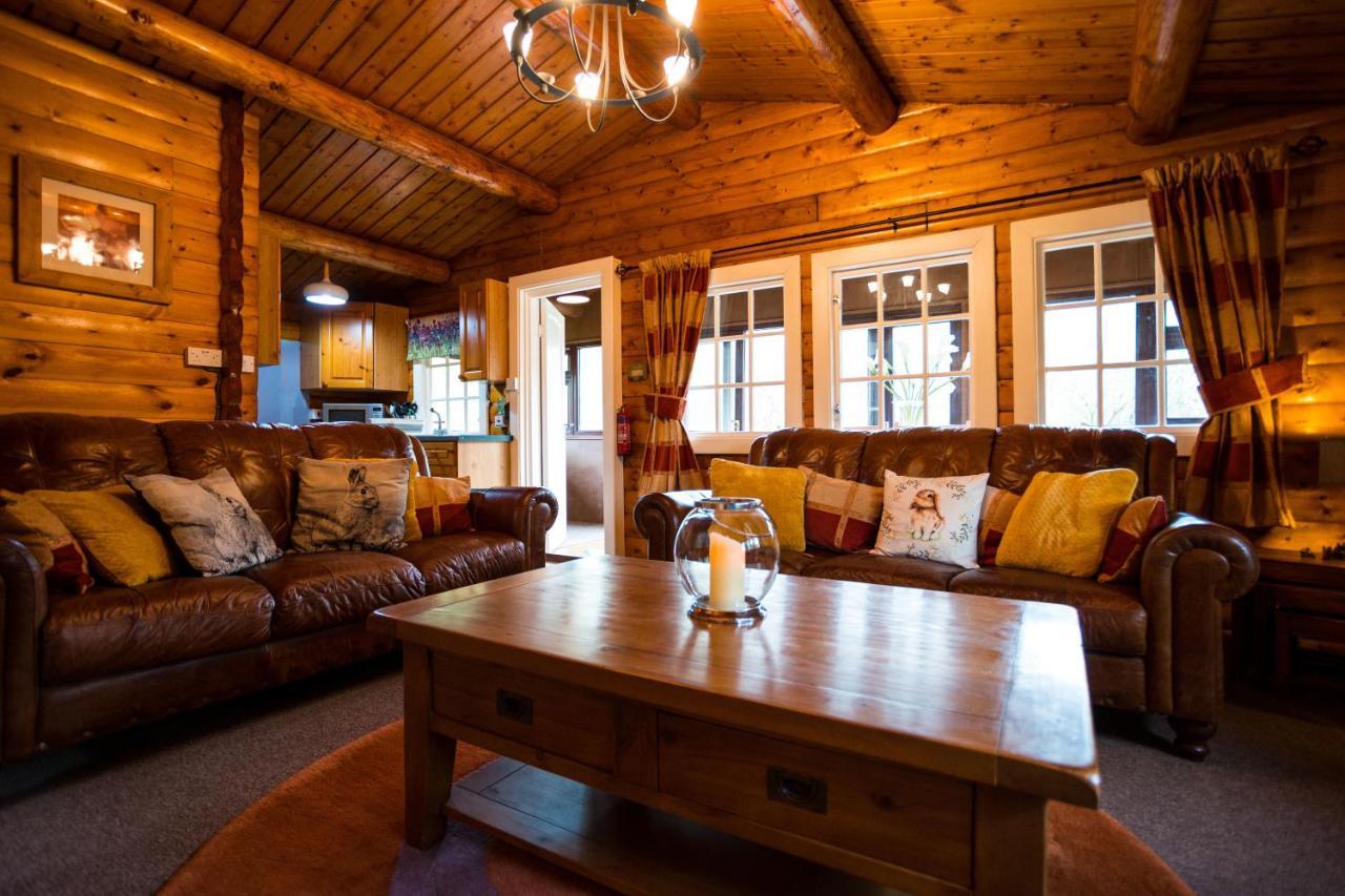 Woodpecker 3 Bedroom Trawsfyndd Holiday Village - Hosted By Seren Property Trawsfynydd 外观 照片