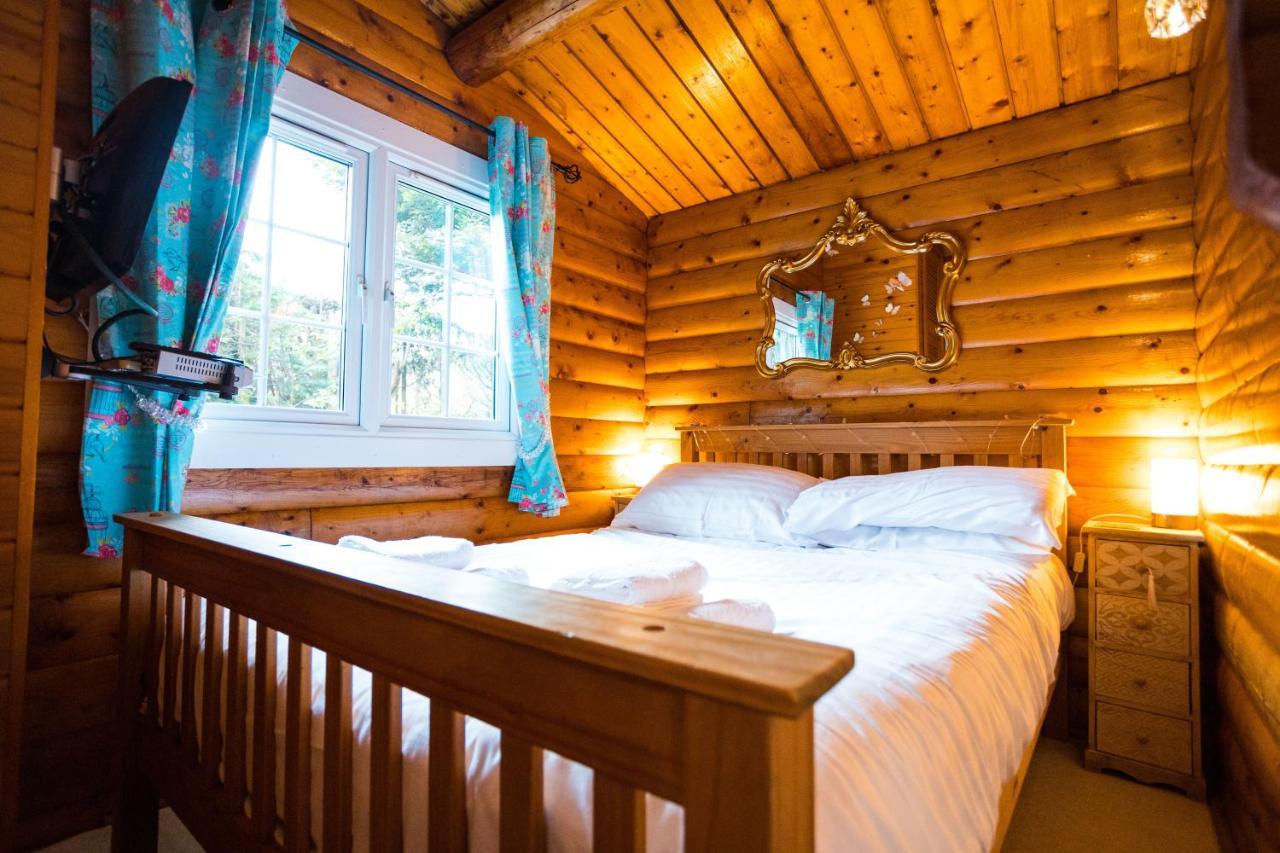 Woodpecker 3 Bedroom Trawsfyndd Holiday Village - Hosted By Seren Property Trawsfynydd 外观 照片
